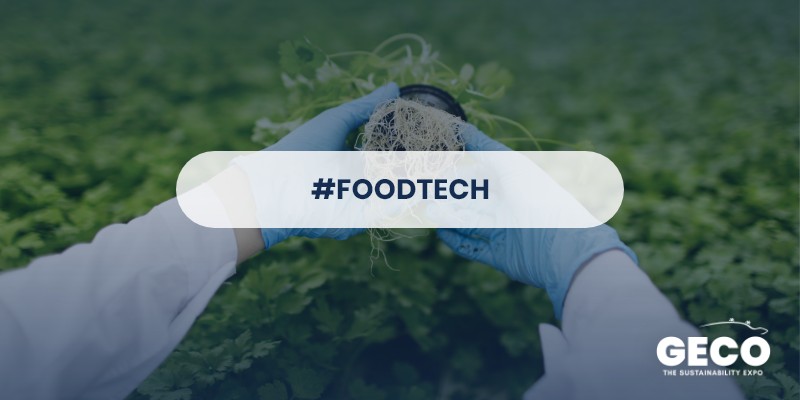 Technology and digital for the agri-food sector