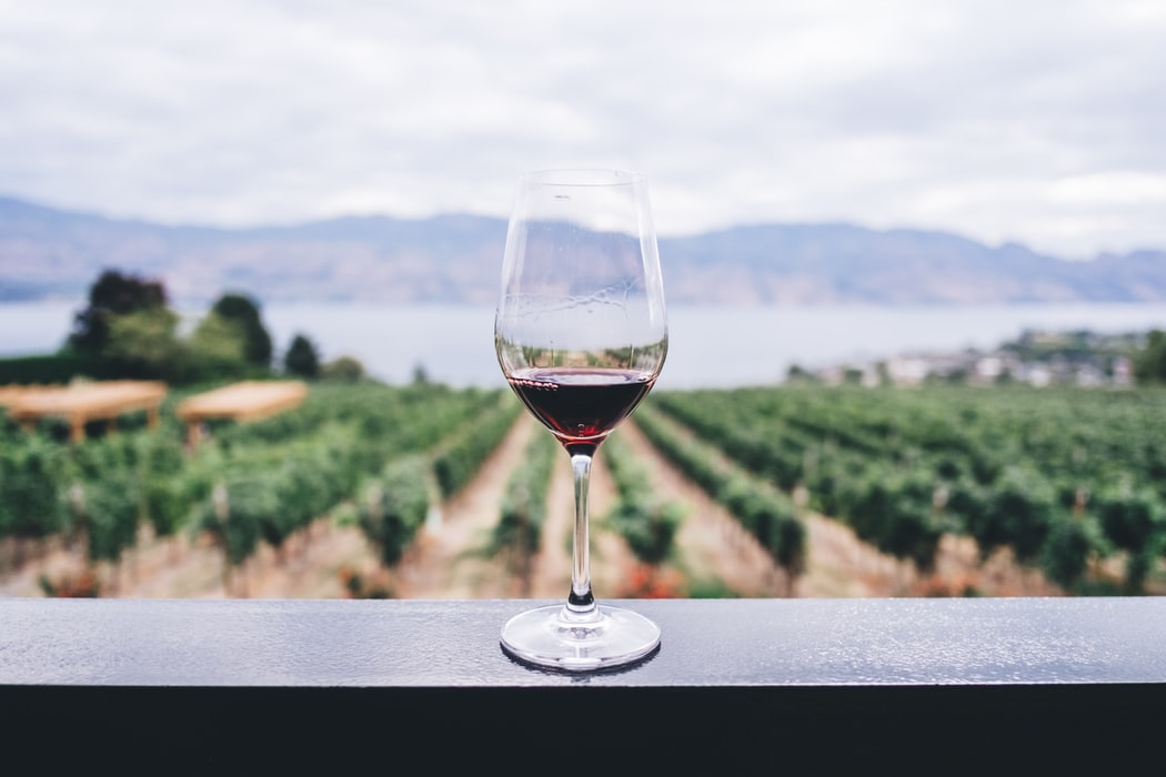 Il successo del vino biologico: aumento del 18% nell’ultimo anno